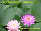 ֹ,󷨵ӹףʦ(22)