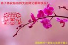ֹ,ϴ󷨵ӹףʦ(21)