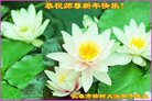 ֹ,󷨵ӹףʦ(23)