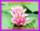 ֹ,󷨵ӹףʦ(23)