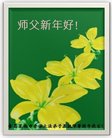 法轮功,青岛大法弟子恭祝师尊新年好(26条)
