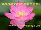 法轮功,石家庄大法弟子恭祝师尊新年好(27条)