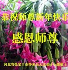 ֹ,żҿڴ󷨵ӹףʦ(25)