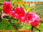 ֹ,󷨵ӹףʦ(20)