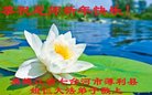ֹ,󷨵ӹףʦ(29)