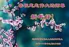 ֹ,󷨵ӹףʦ(20)