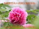 ֹ,ӱ󷨵ӹףʦ(23)