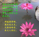 ֹ,󷨵ӹףʦ(23)