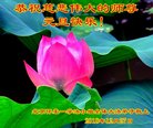 法轮功,北京大法弟子恭祝师尊新年好(21条)