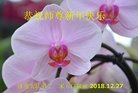 ֹ,ϴ󷨵ӹףʦ(22)