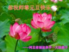 ֹ,󷨵ӹףʦ(23)