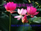 ֹ,󷨵ӹףʦ(22)