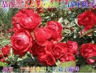 ֹ,󷨵ӹףʦ(23)