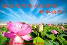 ֹ,ʴ󷨵ӹףʦ(30)