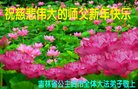 ֹ,ʡ󷨵ӹףʦ(21)