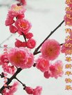 ֹ,󷨵ӹףʦ(23)