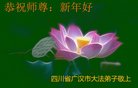 法轮功,四川大法弟子恭祝师尊新年好(23条)