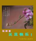 ֹ,ݴ󷨵ӹףʦ(25)