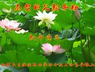 法轮功,北京大法弟子恭祝师尊新年好(21条)
