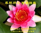 ֹ,󷨵ӹףʦ(18)