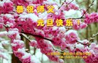 ֹ,ൺ󷨵ӹףʦ(21)