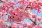 ֹ,ɶ󷨵ӹףʦ(19)