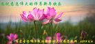 ֹ,ɹŴ󷨵ӹףʦ(29)