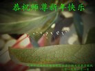 ֹ,󷨵ӹףʦ(22)