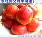 ֹ,մ󷨵ӹףʦ(24)