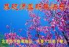 ֹ,󷨵ӹףʦ(22)