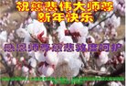 ֹ,żҿڴ󷨵ӹףʦ(20)
