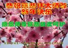 ֹ,żҿڴ󷨵ӹףʦ(20)