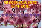 ֹ,żҿڴ󷨵ӹףʦ(20)