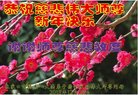 ֹ,żҿڴ󷨵ӹףʦ(20)