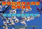 ֹ,żҿڴ󷨵ӹףʦ(20)