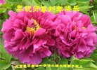ֹ,󷨵ӹףʦ(28)