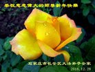 ֹ,ʯׯ󷨵ӹףʦ(25)