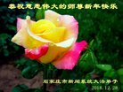 ֹ,ʯׯ󷨵ӹףʦ(25)