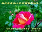ֹ,ʯׯ󷨵ӹףʦ(25)