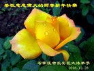 ֹ,ʯׯ󷨵ӹףʦ(25)