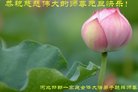 ֹ,ӱ󷨵ӹףʦ(26)