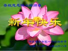法轮功,张家口大法弟子恭祝师尊新年好(20条)