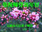ֹ,д󷨵ӹףʦ(28)