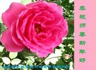 ֹ,ʯׯ󷨵ӹףʦ(28)