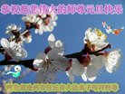 ֹ,ӱ󷨵ӹףʦ(18)