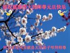 ֹ,ӱ󷨵ӹףʦ(23)