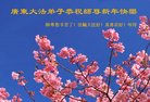 法轮功,广东大法弟子恭祝师尊新年好(29条)