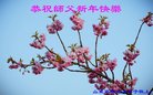 ֹ,Ϋ󷨵ӹףʦ(26)