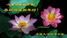 ֹ,ϴ󷨵ӹףʦ(29)