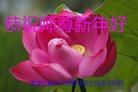 ֹ,󷨵ӹףʦ(22)